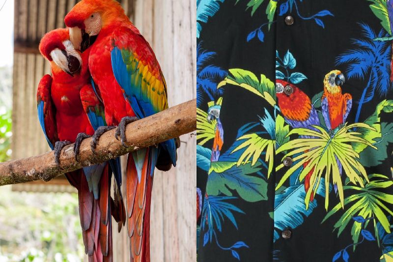 Birds such as Hawaiian parrots and other native wildlife often appear on Hawaiian shirt designs