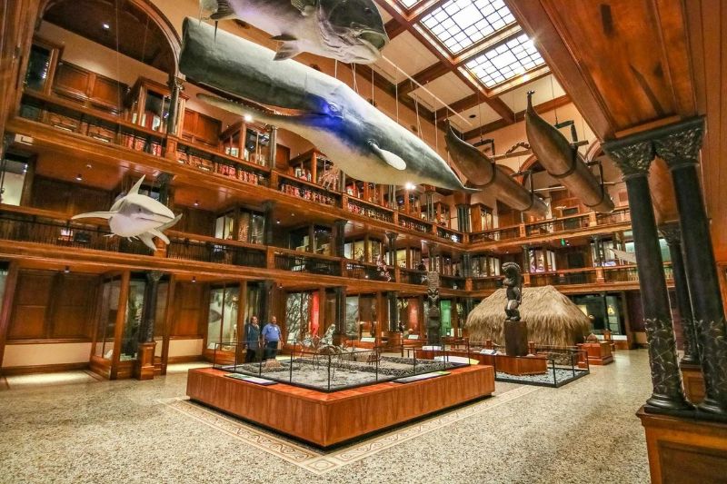 Bishop Museum on Oahu