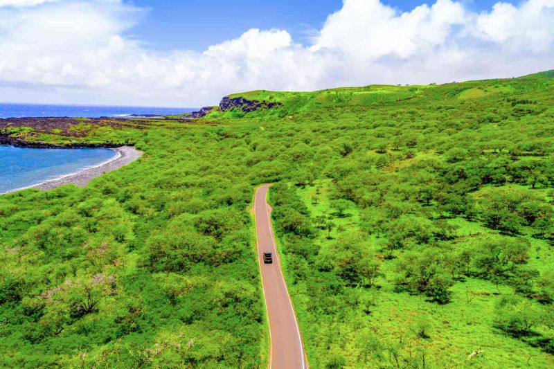 Drive the Road to Hana