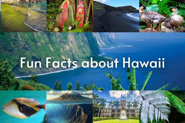 Fun Facts about Hawaii