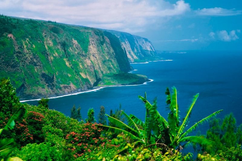 Hawaii features tropical rainforests in the middle of the ocean