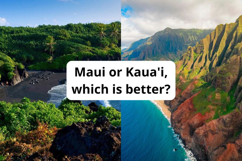 Maui or Kaua'i, which is better