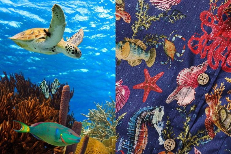 Patterns featuring fish, turtles, and other marine life are common on Hawaiian shirts