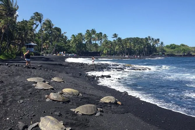 Punalu'u Black Sand Beach