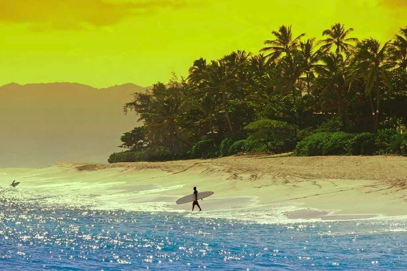 Surf on the North Shore of Oahu