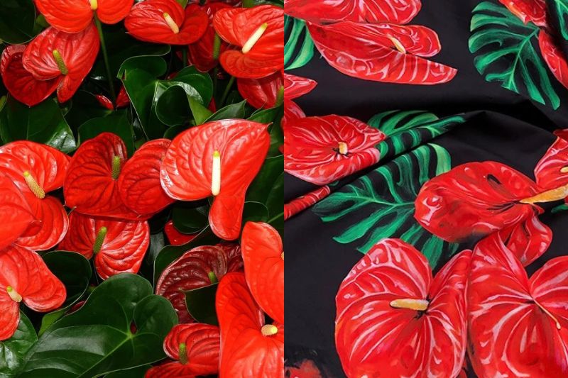 The anthurium pattern is a bold and distinctive design commonly featured on Hawaiian shirts