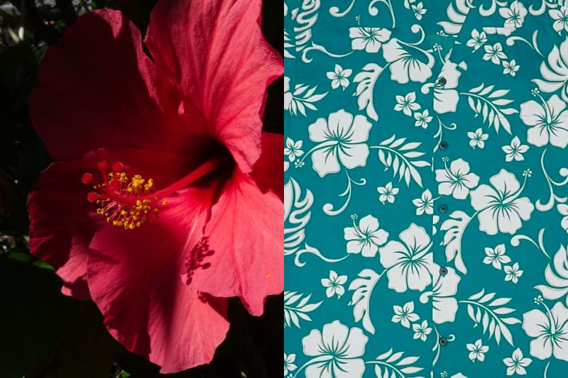 The hibiscus pattern is one of the most iconic designs on Hawaiian shirts