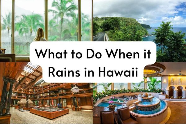 What to Do When it Rains in Hawaii